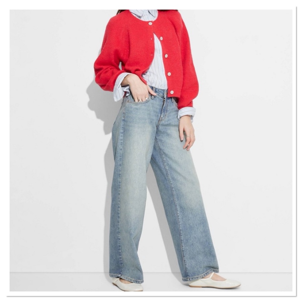 Wild Fable Women’s Low Rise Medium Wash Wide Leg Baggy Jeans